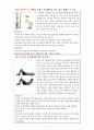 [운동과 비만] 비만상태 측정방법과 근력강화 운동 프로그램 12페이지