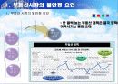 불안정한 부동산 시장과 증시의 연관성 13페이지