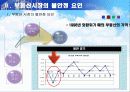 불안정한 부동산 시장과 증시의 연관성 14페이지