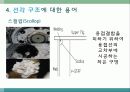 선박용어및 선박의 종류 선박 건조과정 선박의 부재및 구조  57페이지