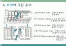 선박용어및 선박의 종류 선박 건조과정 선박의 부재및 구조  67페이지