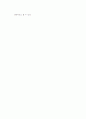 글로벌 시대의 우리나라(한국) 다국적기업의 문제점과 대응방안 6페이지