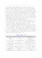 세계화, 국제화 체제) 세계화의 의미, 특징, 본질, 과제와 전략 및 세계화와 국제화에 대한 이해 13페이지