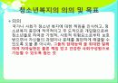 [청소년복지]청소년복지요약발표자료 11페이지