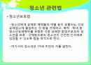 [청소년복지]청소년복지요약발표자료 14페이지