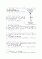 볼링 22페이지