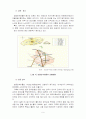 탐라속으로.. 저잣거리 구성으로 인한 성읍민속마을의 관광 명소적 요소의 재발견 - 성읍민속마을 9페이지