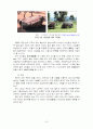 탐라속으로.. 저잣거리 구성으로 인한 성읍민속마을의 관광 명소적 요소의 재발견 - 성읍민속마을 34페이지