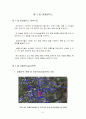 탐라속으로.. 저잣거리 구성으로 인한 성읍민속마을의 관광 명소적 요소의 재발견 - 성읍민속마을 51페이지