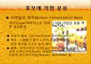 맥주의 제조 및 효능 14페이지