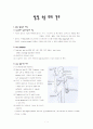 심장 수술 후의 간호 1페이지