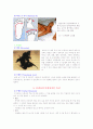 신생아의 특징 5페이지