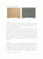 간척과간석 7페이지