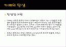 [프랑스문화] 프랑스의 유명한 카페 소개 및 프랑스 카페의 탄생과 역할 5페이지