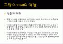 [프랑스문화] 프랑스의 유명한 카페 소개 및 프랑스 카페의 탄생과 역할 11페이지
