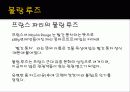 [프랑스문화] 프랑스의 유명한 카페 소개 및 프랑스 카페의 탄생과 역할 22페이지