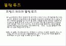 [프랑스문화] 프랑스의 유명한 카페 소개 및 프랑스 카페의 탄생과 역할 23페이지