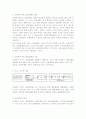 사회복지서비스의전달체계의 구조가능적 측면과 운영주체적 측면 2페이지