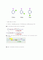 Organic Compound 13페이지
