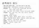 광촉매(TiO2) 13페이지