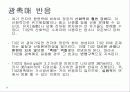 광촉매(TiO2) 15페이지