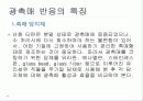 광촉매(TiO2) 20페이지
