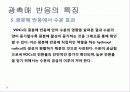 광촉매(TiO2) 29페이지