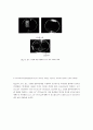 살균용효소촉매 14페이지