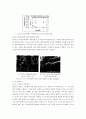 살균용효소촉매 21페이지
