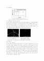 살균용효소촉매 22페이지