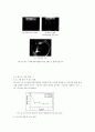 살균용효소촉매 29페이지