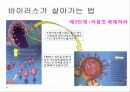 바이러스 10페이지