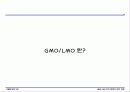 GMO LMO 안전문제와 관리 방법. 파워포인트 발표 자료. 특A++. 유전자 재조합 식품(표, 그림 다수) 2페이지