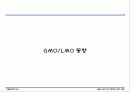 GMO LMO 안전문제와 관리 방법. 파워포인트 발표 자료. 특A++. 유전자 재조합 식품(표, 그림 다수) 5페이지