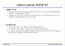 GMO LMO 안전문제와 관리 방법. 파워포인트 발표 자료. 특A++. 유전자 재조합 식품(표, 그림 다수) 17페이지