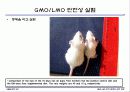 GMO LMO 안전문제와 관리 방법. 파워포인트 발표 자료. 특A++. 유전자 재조합 식품(표, 그림 다수) 22페이지