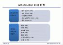 GMO LMO 안전문제와 관리 방법. 파워포인트 발표 자료. 특A++. 유전자 재조합 식품(표, 그림 다수) 24페이지