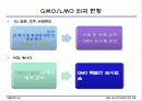GMO LMO 안전문제와 관리 방법. 파워포인트 발표 자료. 특A++. 유전자 재조합 식품(표, 그림 다수) 25페이지