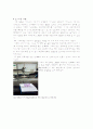 (실험결과) 양이온 교환 크로마토그래피 2페이지