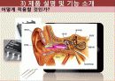 뇌파 컨트롤러 설계 8페이지