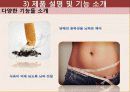 뇌파 컨트롤러 설계 14페이지