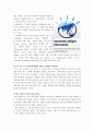 미국의 CSR 28페이지
