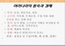 중학교 국사 파워포인트(선사~삼국초기) 14페이지