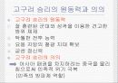 삼국의발전부터 8페이지