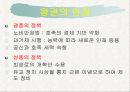 고려 4페이지
