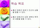 조선 37페이지