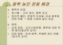 조선 48페이지
