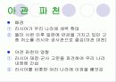조선 54페이지