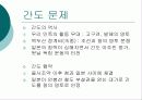 조선 61페이지