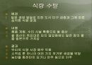조선 71페이지